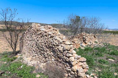 Helårsgrund i Yecla, Murcia, Yecla - € 26.500 | Ref: SF0526 - foto 12